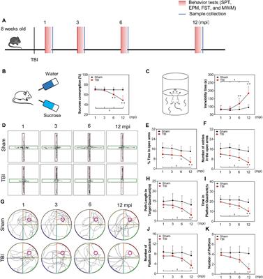 Adolescent traumatic brain injury leads to incremental neural impairment in middle-aged mice: role of persistent oxidative stress and neuroinflammation